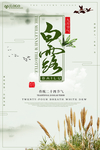 白露