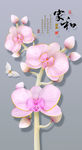 花开富贵玄关