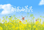 醉美油菜花