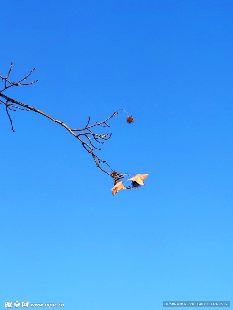 蓝天
