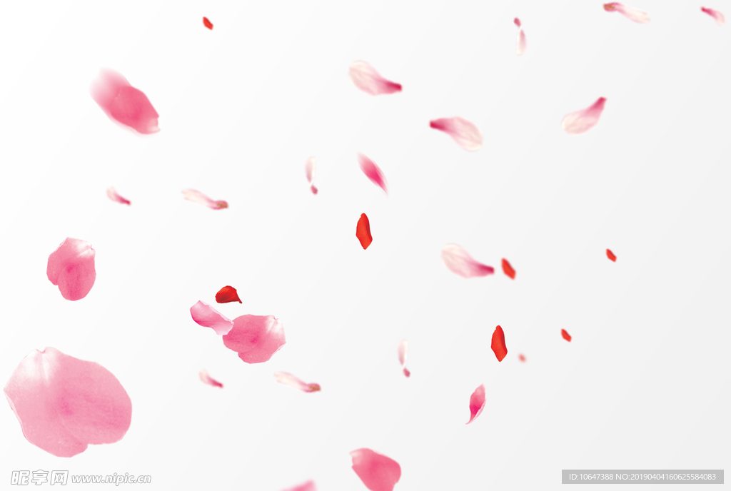 花瓣