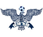 足球飞扬 LOGO