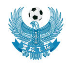 足球飞扬