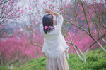 桃花 背影