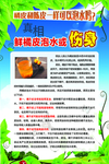 橘皮泡水