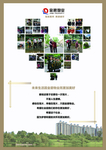 恒大金碧物业