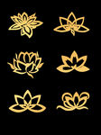 莲花