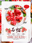 石榴海报