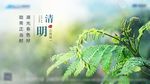 清明 春天 发芽  节气