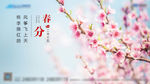 桃花  春分  节气 春天