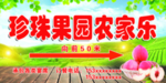 农家乐招牌
