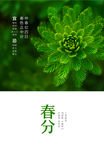 春分海报
