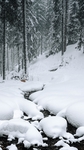 雪