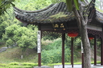 园林一角