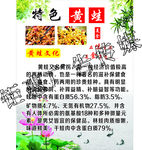 黄蛙海报