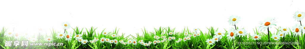 花草绿草
