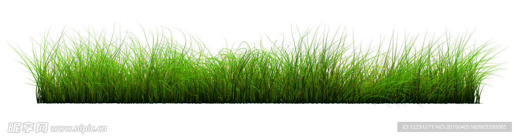 草地绿草
