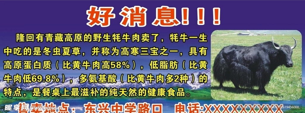 牦牛 好消息海报