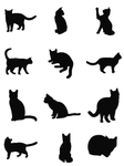 猫剪影