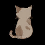 猫咪