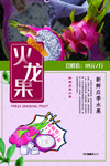 火龙果