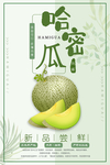哈密瓜