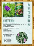 DDS酸碱平衡