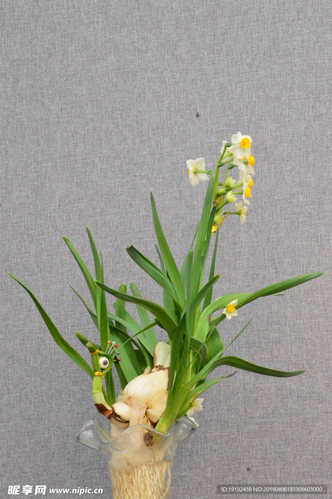水仙花