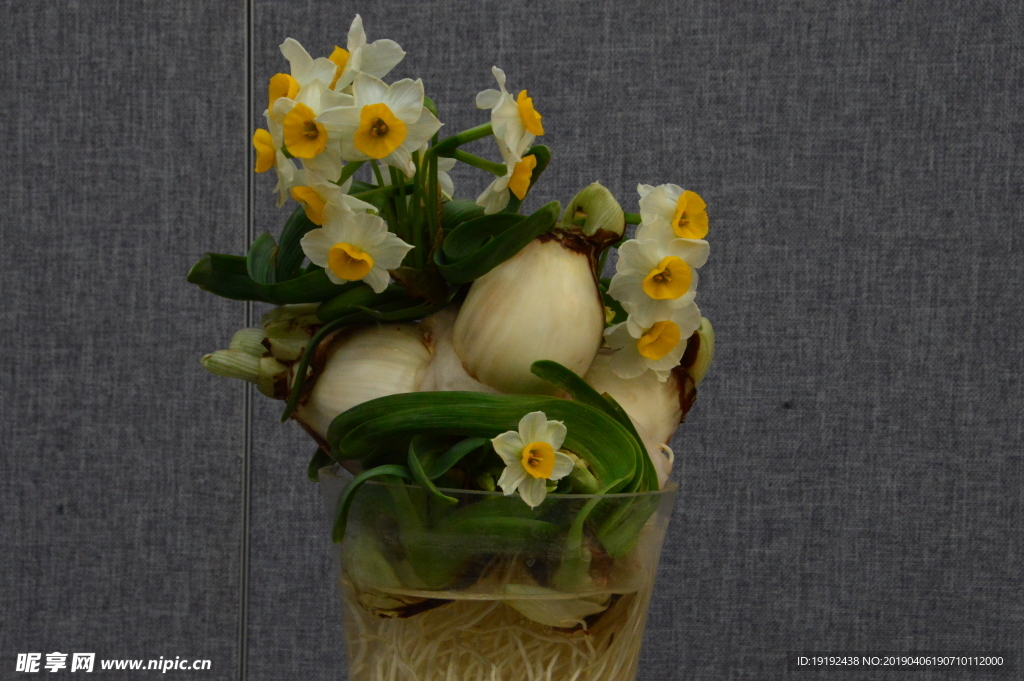水仙花