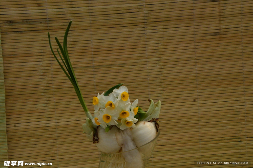 水仙花
