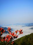 黄山