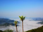 黄山风景区