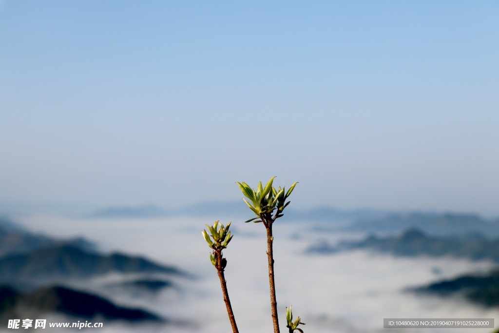 黄山