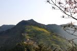 黄山