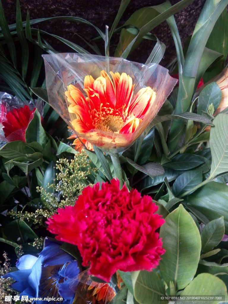 鲜花
