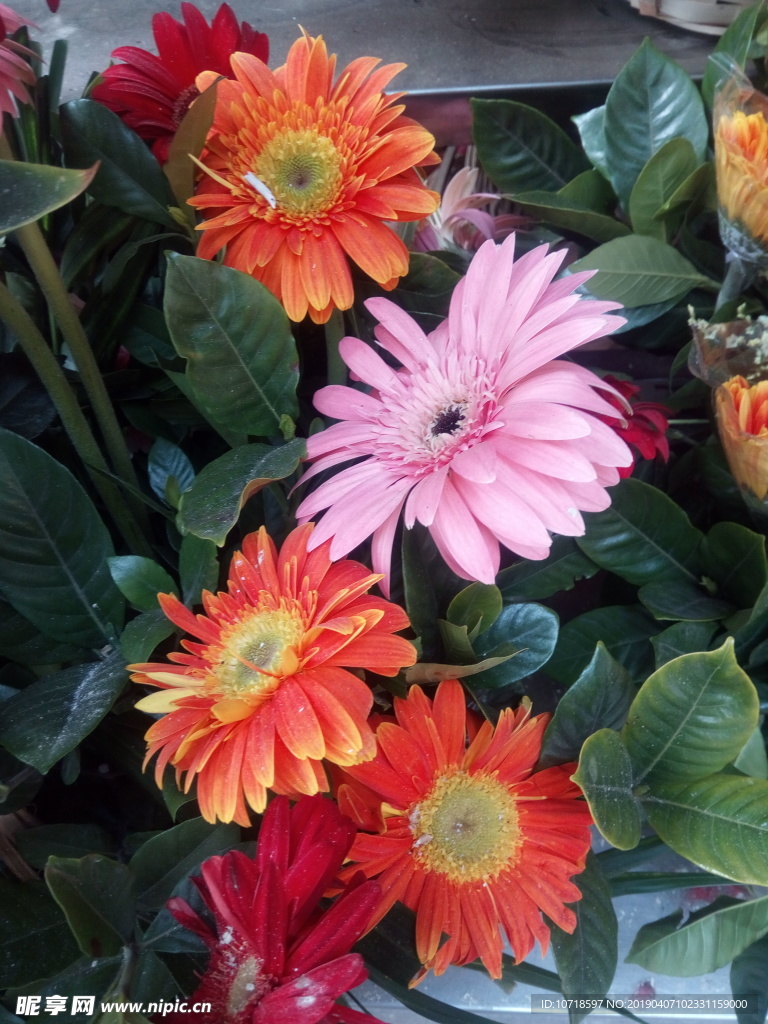 鲜花