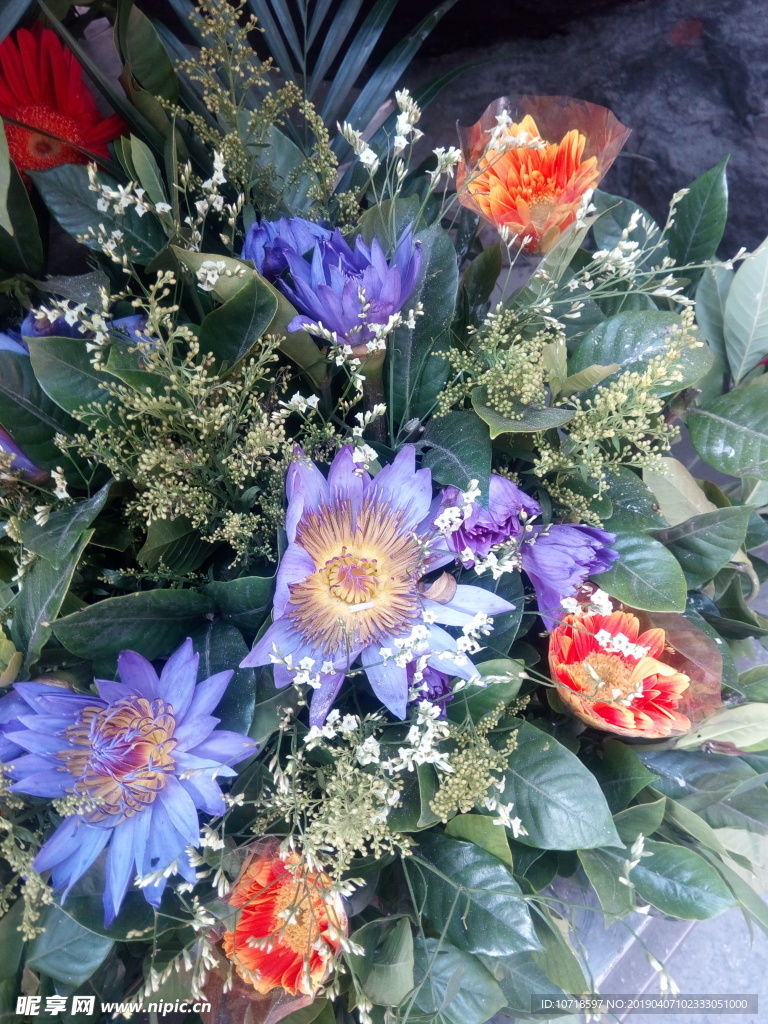 鲜花