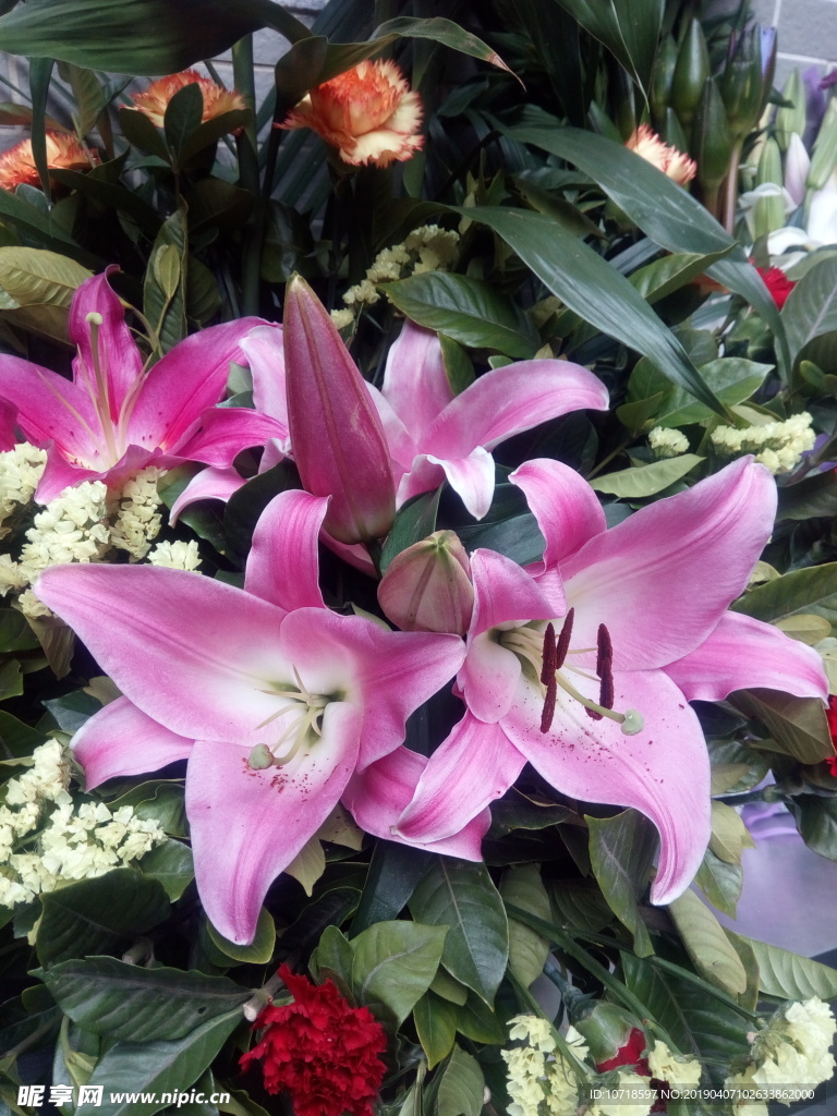 鲜花