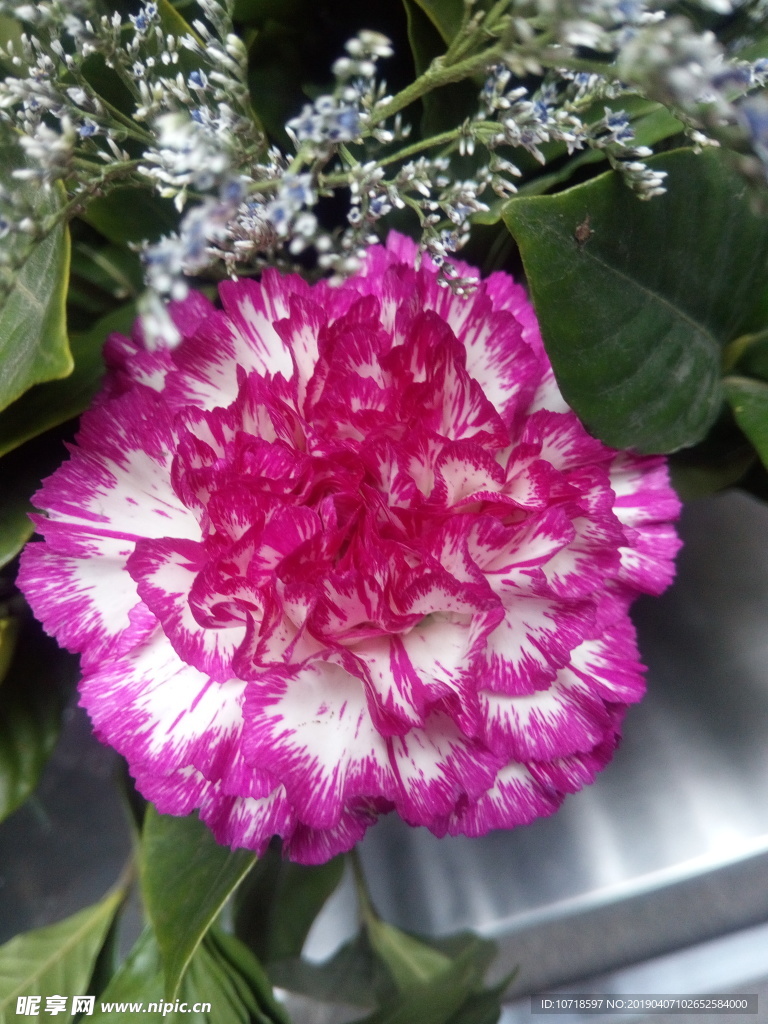 鲜花
