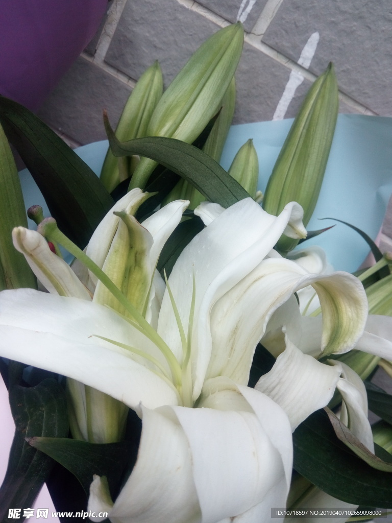 鲜花