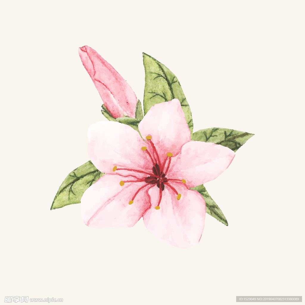 手绘水彩花朵