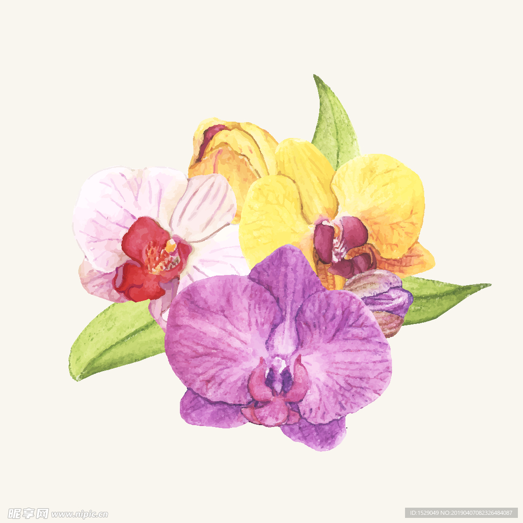 手绘水彩花朵