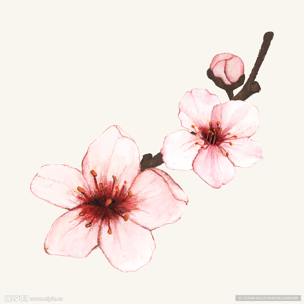 手绘水彩花朵