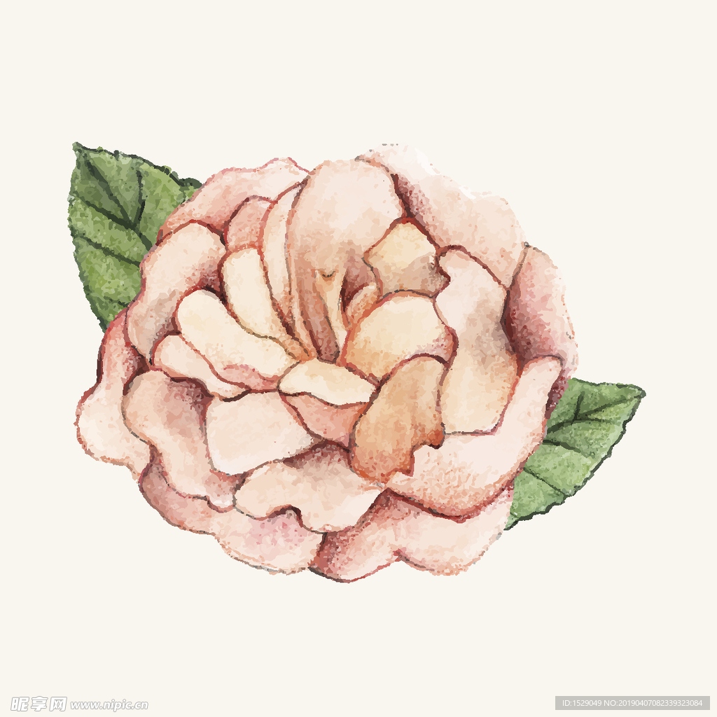手绘水彩花朵