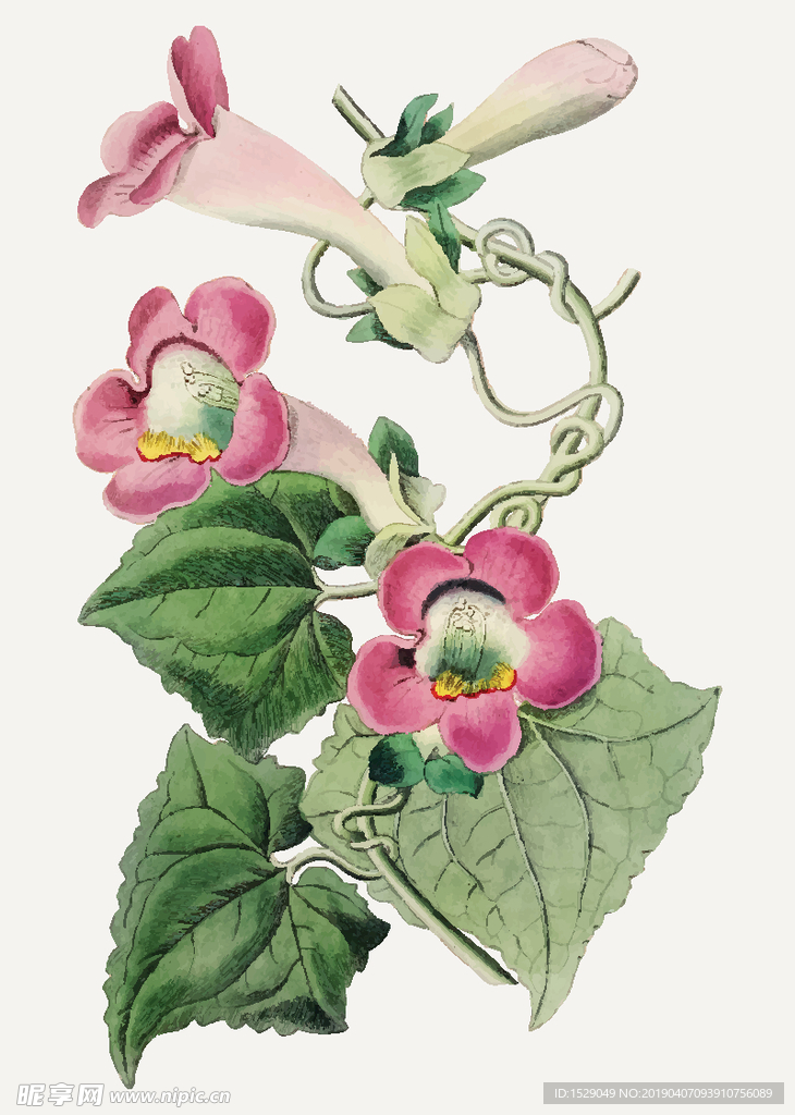 手绘水彩花朵