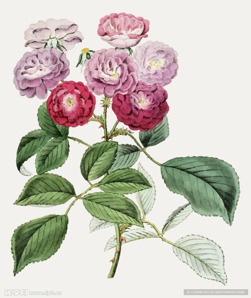 手绘水彩花朵