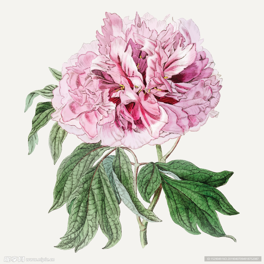 手绘水彩花朵