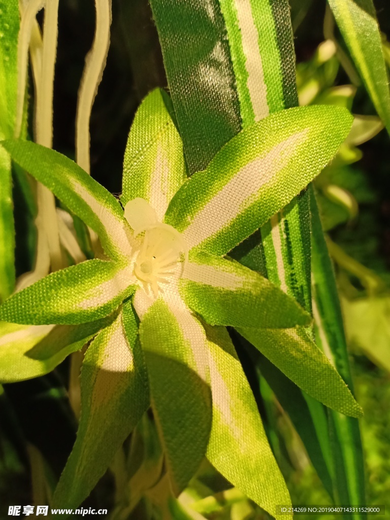 绿色布艺绿植