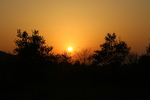 夕阳