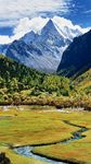 山水